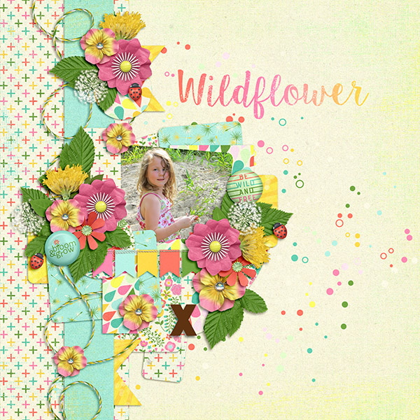 Wildflower