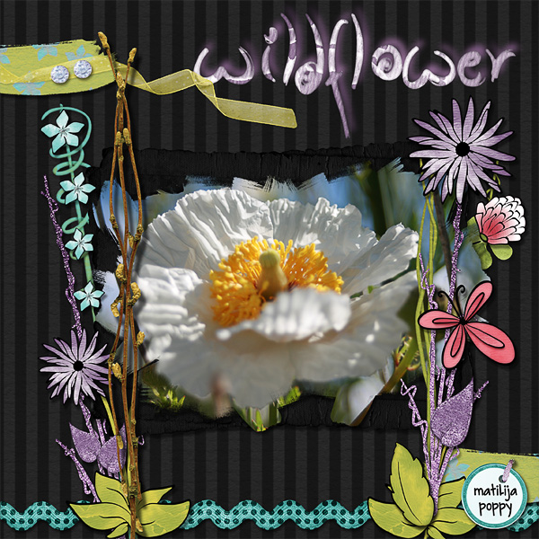 wildflower