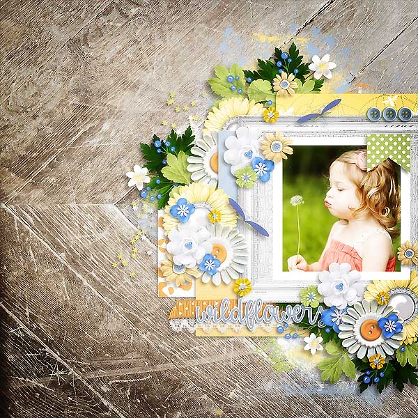 Wildflower