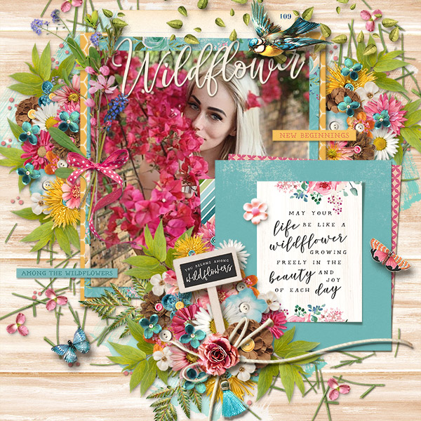 Wildflower