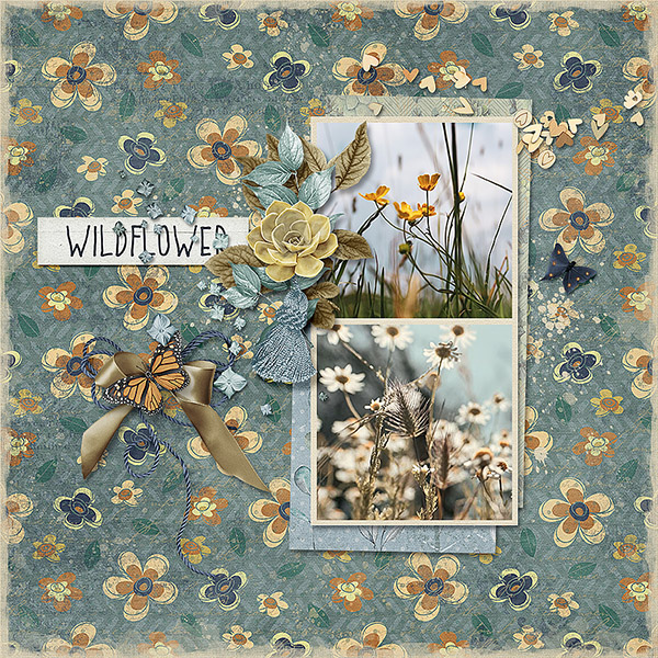 Wildflower