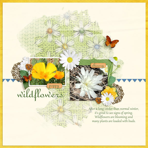 Wildflowers - Apr Temp 1 challenge