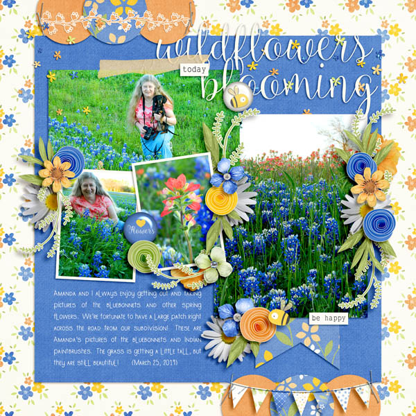 Wildflowers Blooming