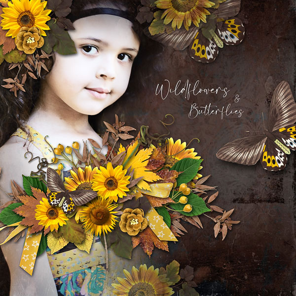 Wildflowers + Butterflies