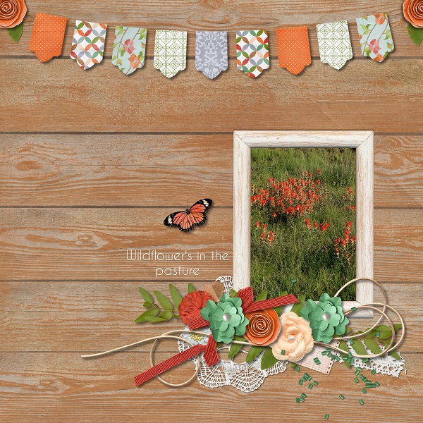 Wildflowers in the pasture