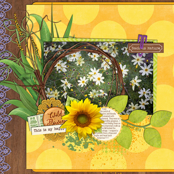 Wildflowers: My Happy