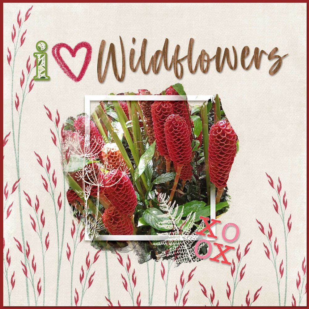 Wildflowers-webv.jpg