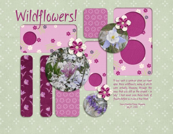 Wildflowers