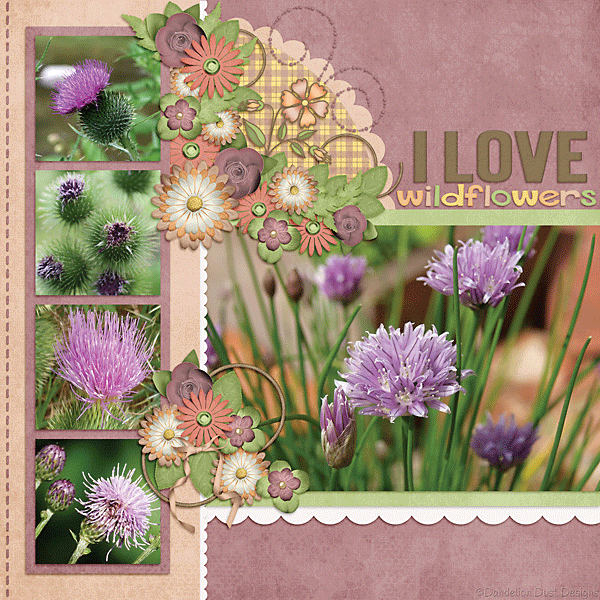 Wildflowers