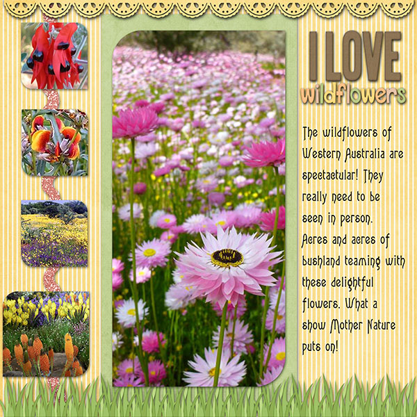 WildFlowers