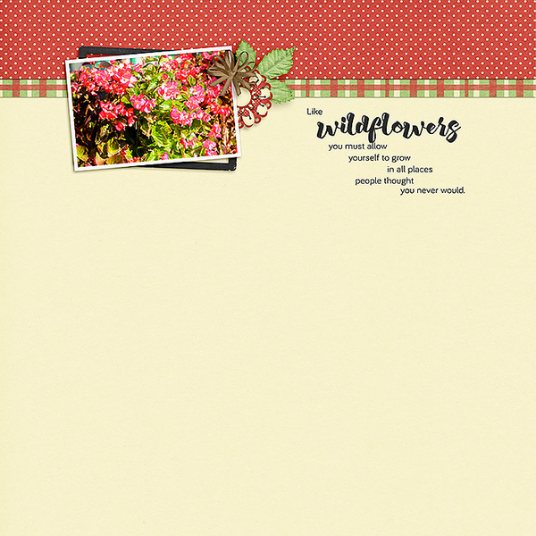 Wildflowers