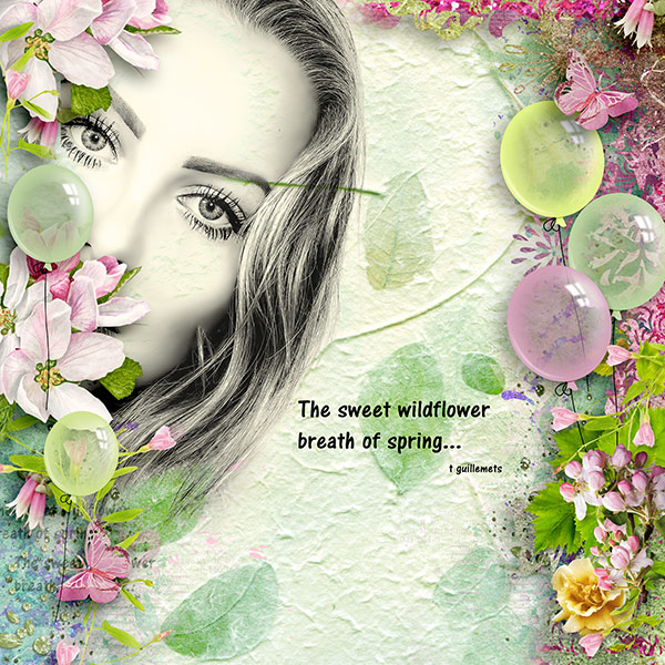 Wildflowers