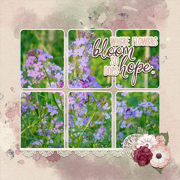 Wildflowers
