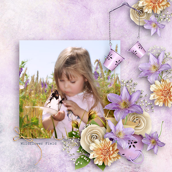 Wildflowers