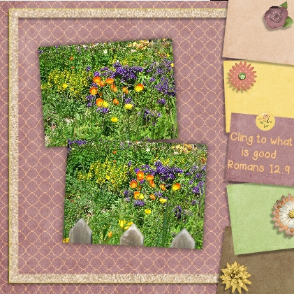 Wildflowers