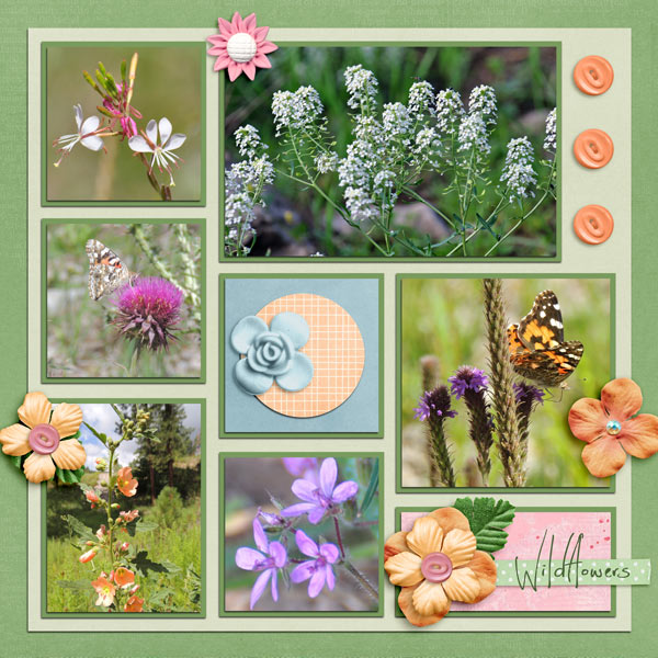 Wildflowers