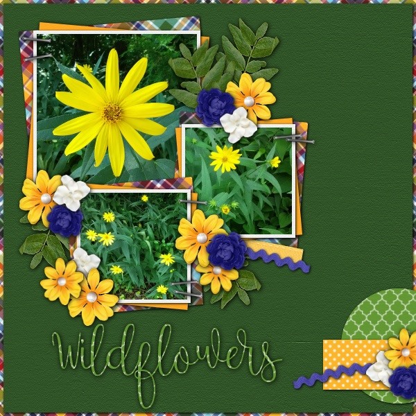 Wildflowers
