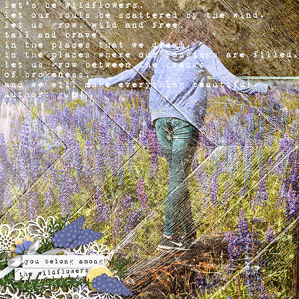 wildflowers