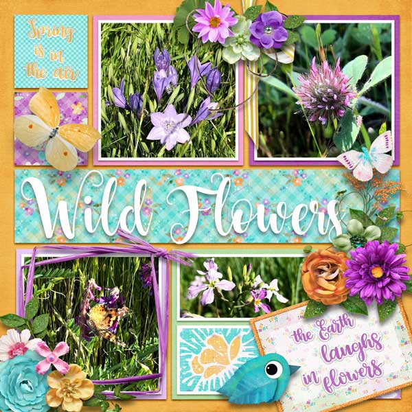 wildflowers
