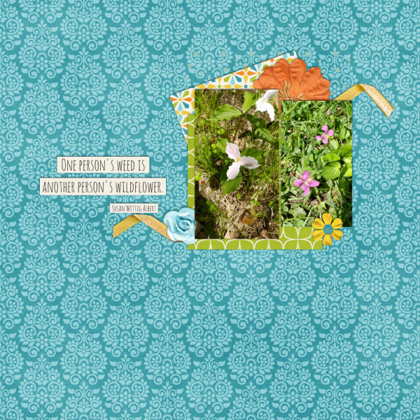 Wildflowers