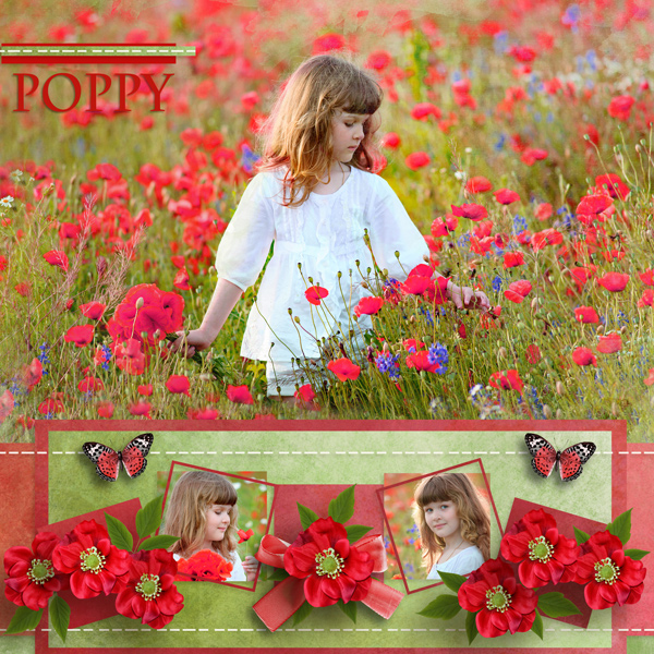 Wildflowers