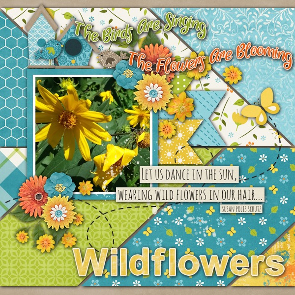 Wildflowers
