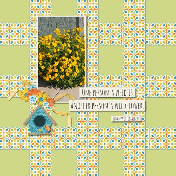 Wildflowers