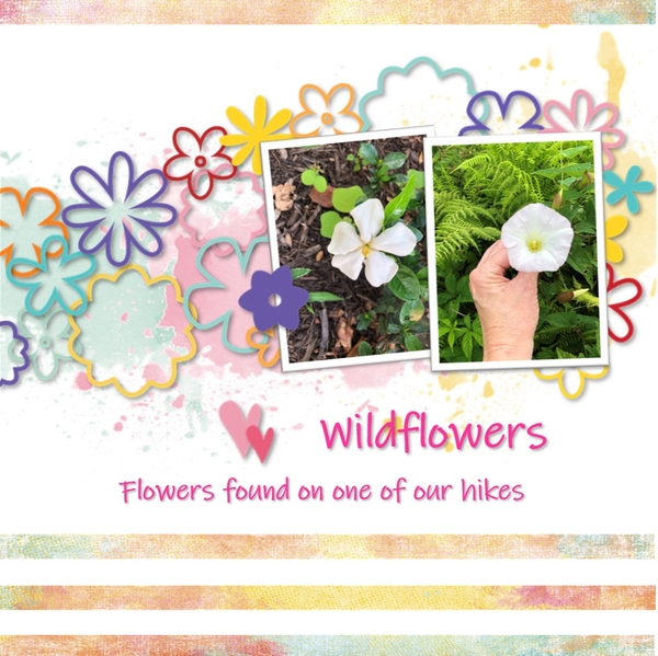 Wildflowers