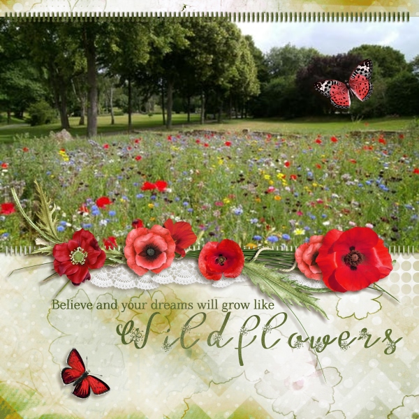 Wildflowers