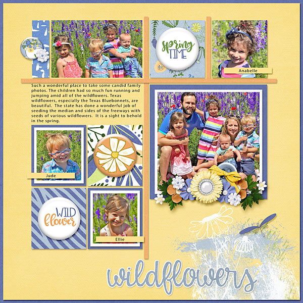 Wildflowers
