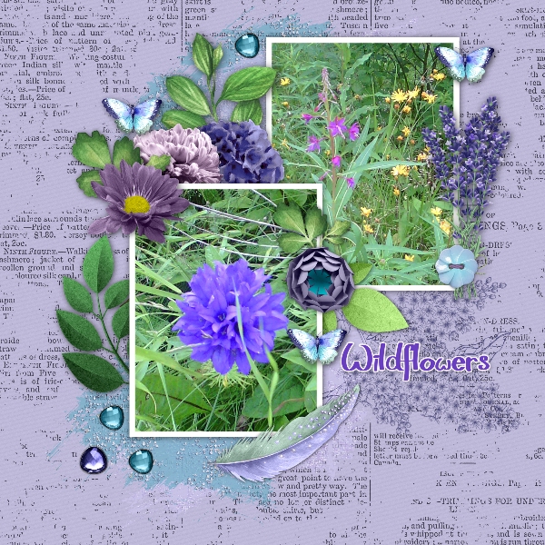 Wildflowers