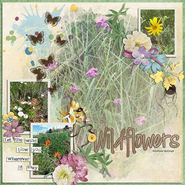 wildflowers
