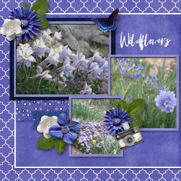 Wildflowers