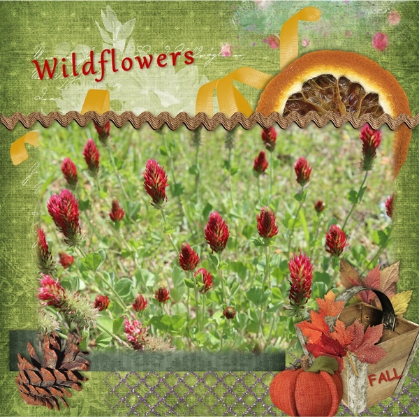 Wildflowers