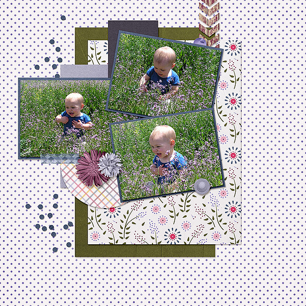 Wildflowers