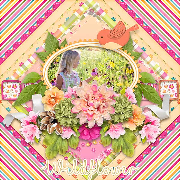 Wildflowers