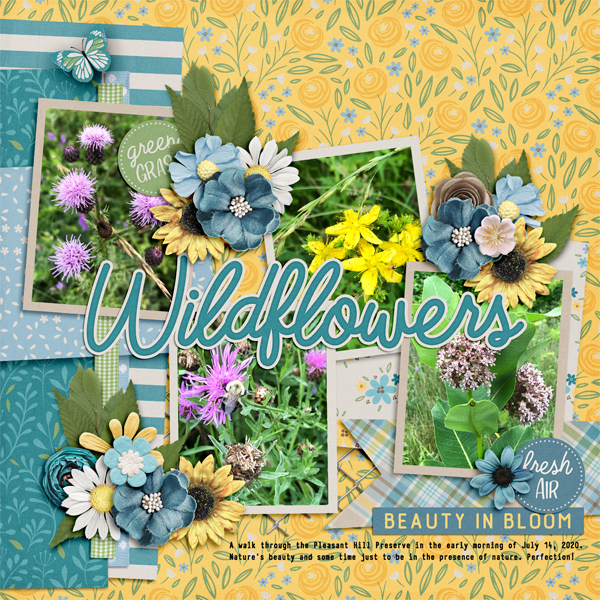 Wildflowers
