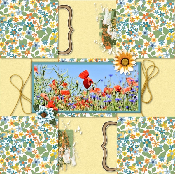 Wildflowers