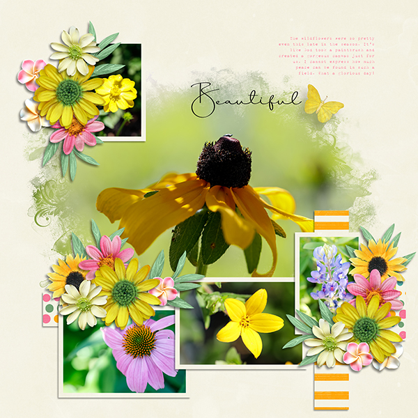 Wildflowers