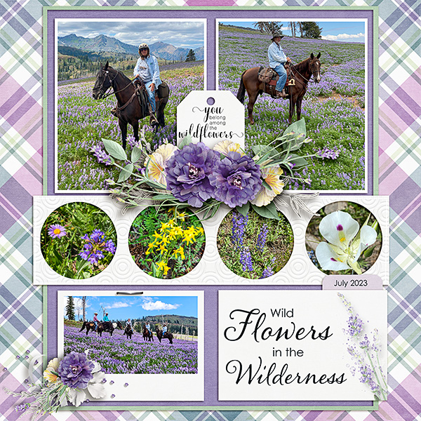 Wildflowers