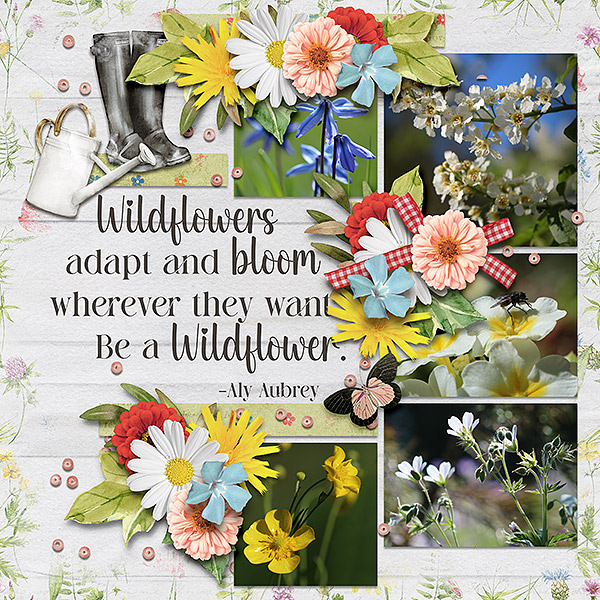 wildflowers