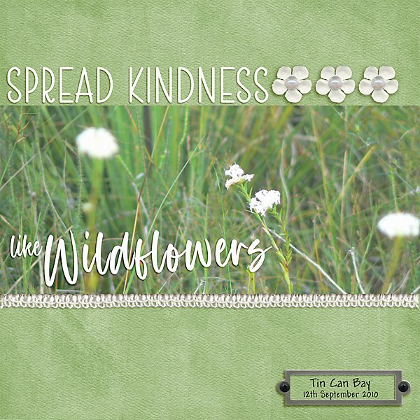 Wildflowers