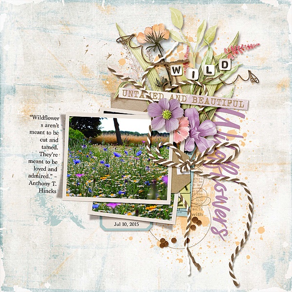 Wildflowers