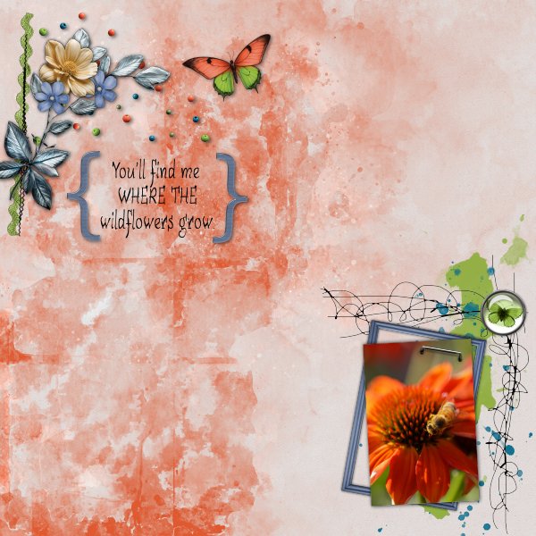 Wildflowers