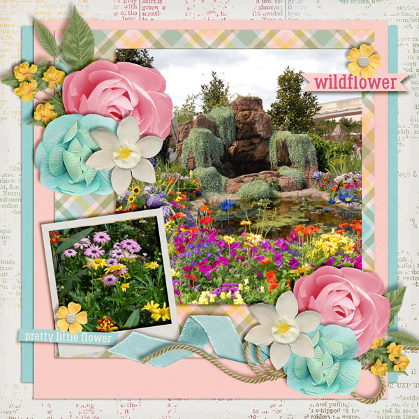 Wildflowers3