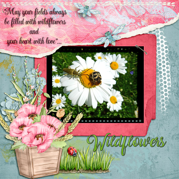 Wildflowers5