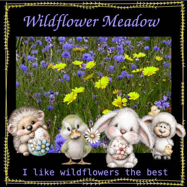 Wildfower Meadow.jpg
