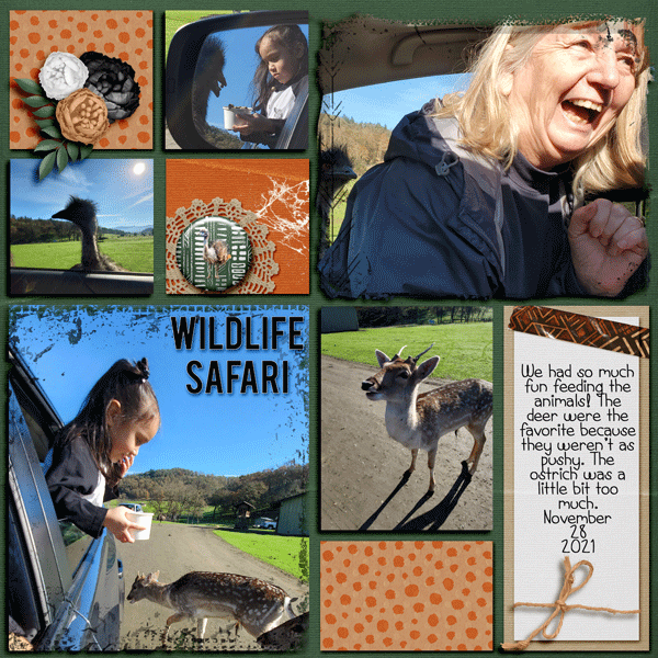 Wildlife-21.gif