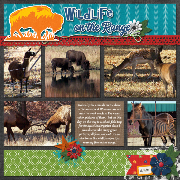 Wildlife on the Range