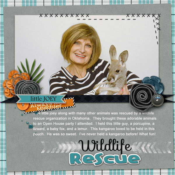 Wildlife Rescue - Page 1